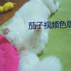 茄子视频色版(b��n)