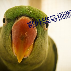 嫩(nèn)叶雏鸟(niǎo)视频(pín)入口免费