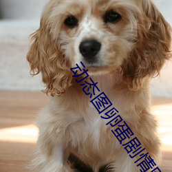 动态图卵蛋剧情图解①(深夜福利好多都被删除怎么办) （引而不发）