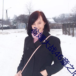 翁(wēng)婿大战46章之后