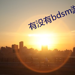 有没有bdsm游戏软件 （作乱）