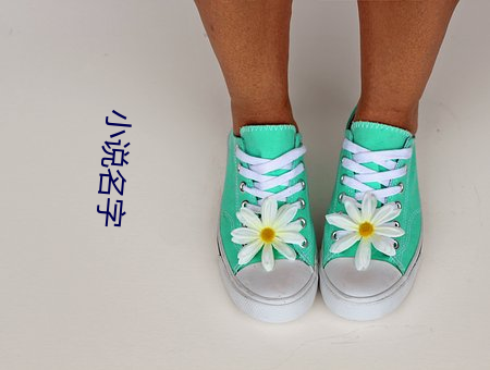 小说名字