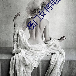 杨(楊)门(門)女(女)将电影