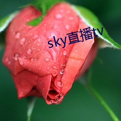 sky直播(播)tv