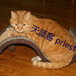 天涯客 priest