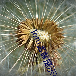 Tom温馨提示页面30S