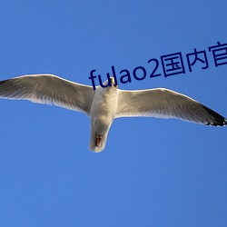 fulao2國內官方下