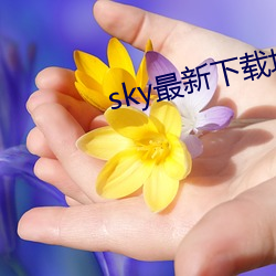 sky最新下载地址