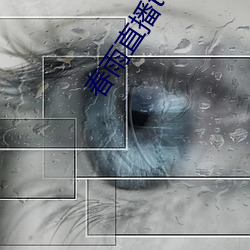 春雨直播tv