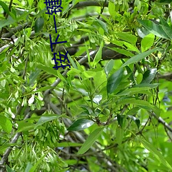 BG大游(中国)唯一官方网站