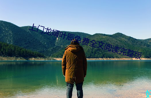 上门龙婿叶辰免费全文阅读完整版
