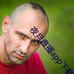 夜(夜)月(月)直播(播)app下载