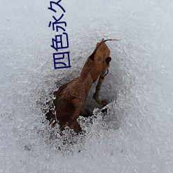 四色永世