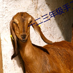 一二三年級手工