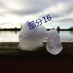 部分16 （沉稳）