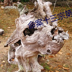 命案十三宗第二部真相免费 （风前月下）