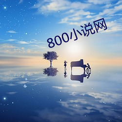 800小(小)说(說)网