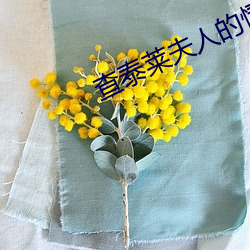 查泰莱(萊)夫人(人)的情(情)人完整(整)版