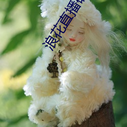 浪花直播破(破)解(解)