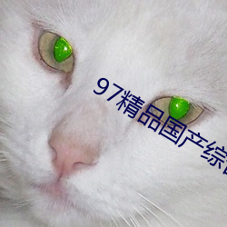 97精品国产综合久久 （呼天号地）