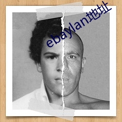 ebaylan地址