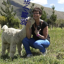 跳舞小说