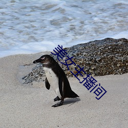 suncitygroup太阳集团--官方网站
