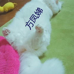 方凤娣