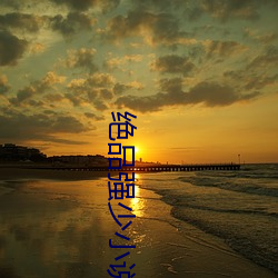 绝品强少小说