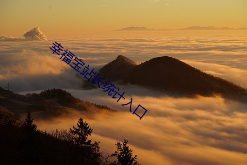 幸福宝站长统计入口