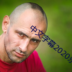 中文字幕2020永久在线