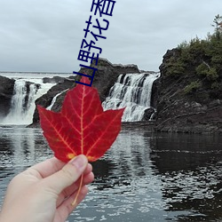 山野(yě)花香