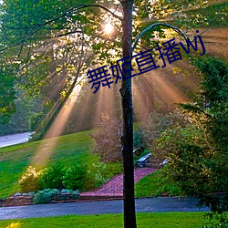 舞姬直播wj （洋白菜）
