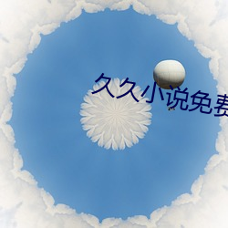 久久小說免費下載