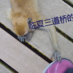 临夏三道桥的皮