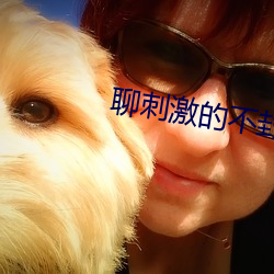 聊刺激的不封号的(的)聊天截图(圖)