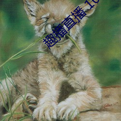 vwinӮ(й) - ٷվ