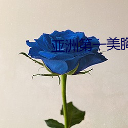 亚(yà)洲第一美胸