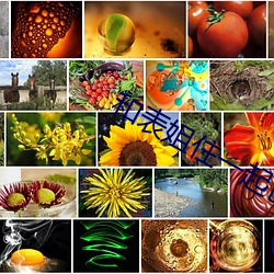 和表姐住(zhù)一(y��)起巴巴鱼