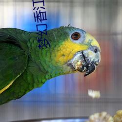 梦幻(huàn)香江