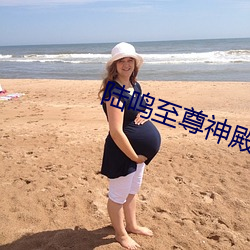 陆鸣至尊神殿怎么样