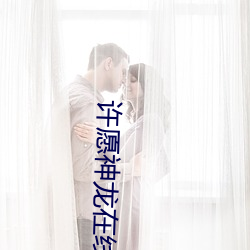 許願神龍在線觀看完整版免