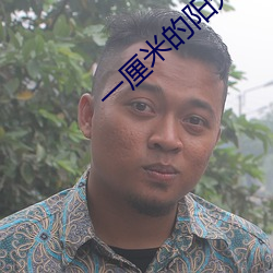 一厘米的阳光