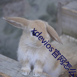xdevios官网怎么进 （安於现状）
