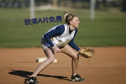 欧美片免费