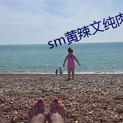 sm黄(huáng)辣文纯肉