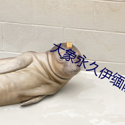 BG大游(中国)唯一官方网站