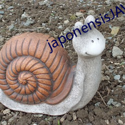 japonensisJAVA可播