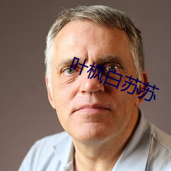 叶枫白苏苏