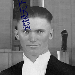 武(武)极(極)天下txt